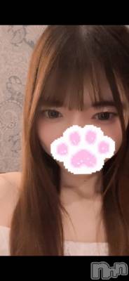 ����(20) ��Ĺ154cm����Į����Х��顦����� NEW CLUB Nox(�˥塼����֥Υå���)���ҡ�