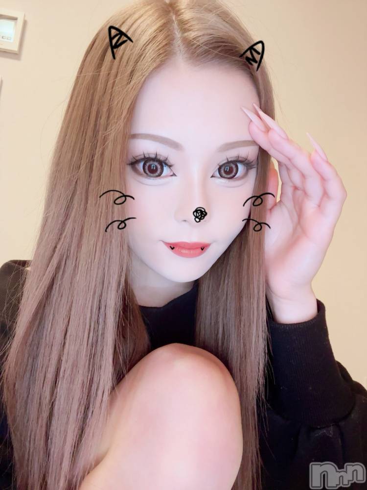 ��Ʋ����Х��顦�����151-A(������������) �Ϥ�Τ�6��24���̥�֥����ֽ���� ✔��