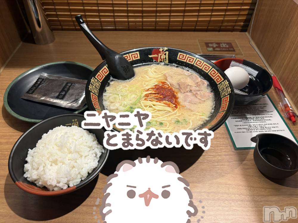 ����������ʥå��������륺�С�LAPLUS(��ץ饹) ������8��8���̥�֥����ֵ����