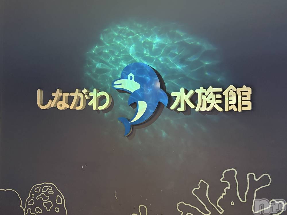 ����������ʥå��������륺�С�LAPLUS(��ץ饹) ������8��10���̥�֥����֤פ��פ���