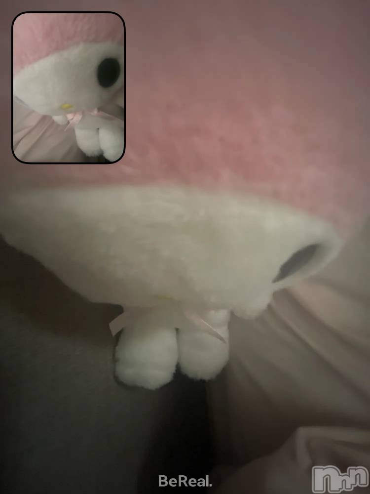 ����������ʥå��������륺�С�LAPLUS(��ץ饹) ������8��19���̥�֥�����NEW ������
