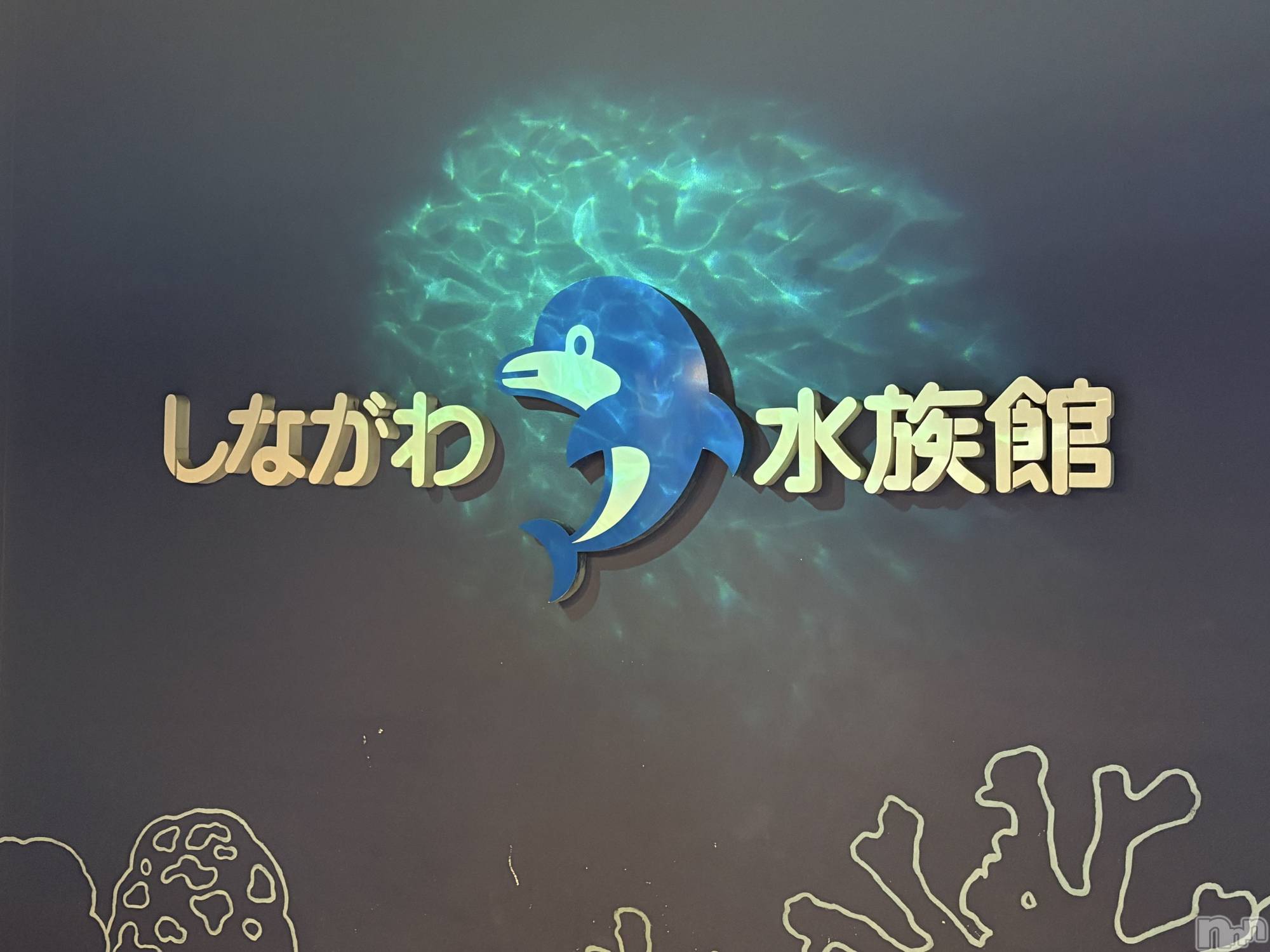 ����������ʥå��������륺�С�LAPLUS(��ץ饹) ��2026ǯ8��10���̥�֥����֤פ��פ���