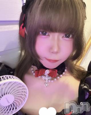 ����������ʥå��������륺�С�LAPLUS(��ץ饹) ������8��5���̥�֥����֤��������
