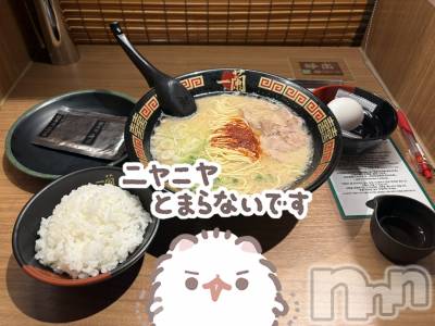 ����������ʥå��������륺�С�LAPLUS(��ץ饹) ������8��8���̥�֥����ֵ����