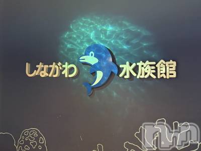 ����������ʥå��������륺�С�LAPLUS(��ץ饹) ������8��10���̥�֥����֤פ��פ���