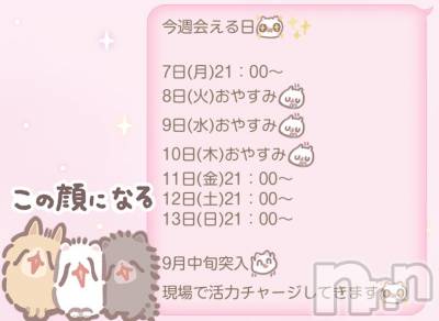 ����������ʥå��������륺�С�LAPLUS(��ץ饹) ������9��7���̥�֥��������ܤ����