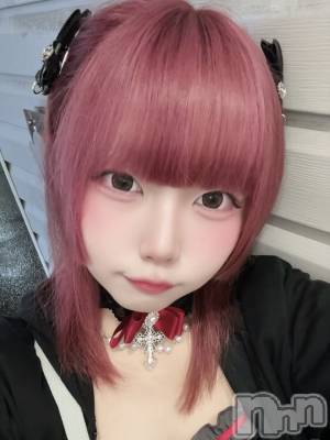 ��������ˤ��륹�ʥå��������륺�С���LAPLUS(��ץ饹)�פΥ��㥹�ȡ֤����פξҲ����