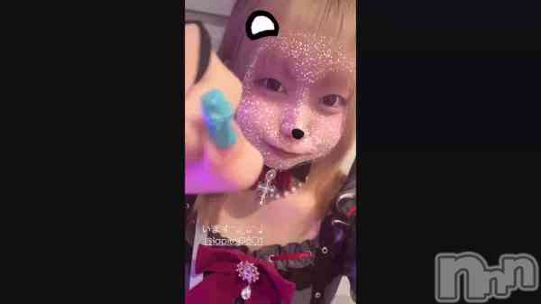 �֥����������
