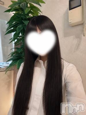 本日も出勤してます🌷