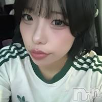 せりな さんのプロフィール画像
