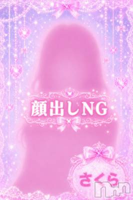 ������(�ҥߥ�) ��Ĺ158cm������������ʥå��������륺�С� LAPLUS(��ץ饹)���ҡ�