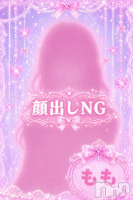 ���(�ҥߥ�) ��Ĺ155cm������������ʥå��������륺�С� LAPLUS(��ץ饹)���ҡ�