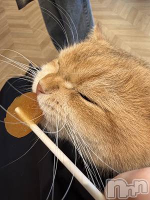 ��Į����Х��顦����֥���� �ץ���� ����(����� �ץ���� ������) �����礦��9��26���̥�֥�����9��26�� 19��43ʬ�Υ֥�����