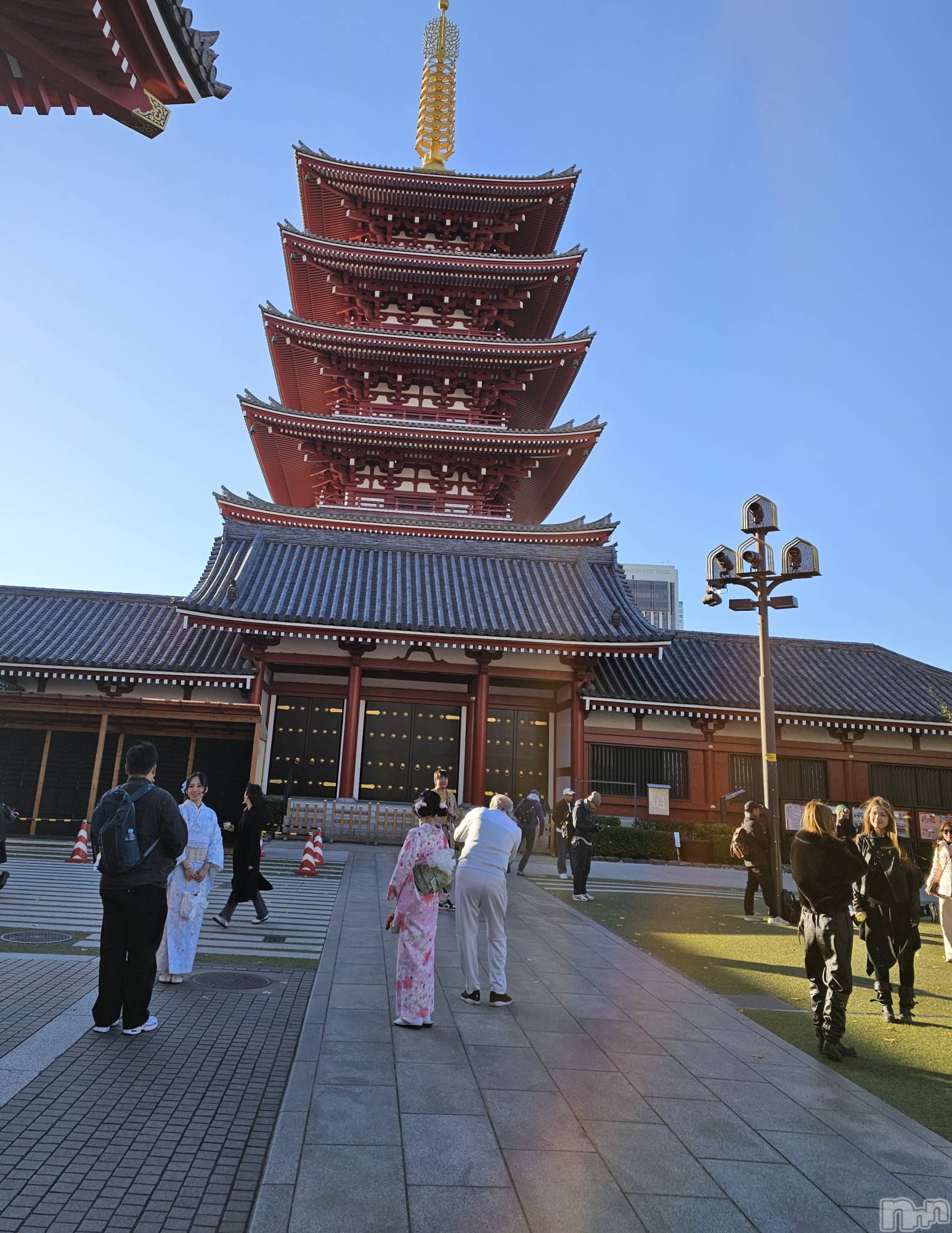 �����������Х��顦����ֽϽ�����Х��� Lips(���奯���祭��Х����åץ�) ��2026ǯ10��1���̥�֥����֤�����Ǥ���