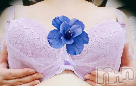 新潟デリヘル新潟市鳥屋野潟ちゃんこ(ニイガタシトヤノガタチャンコ) すみれ(40)の6月29日写メブログ「ありがとうございました💜」