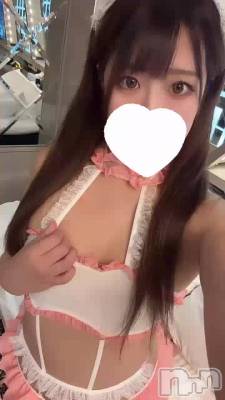 えちえち観察研究🔎