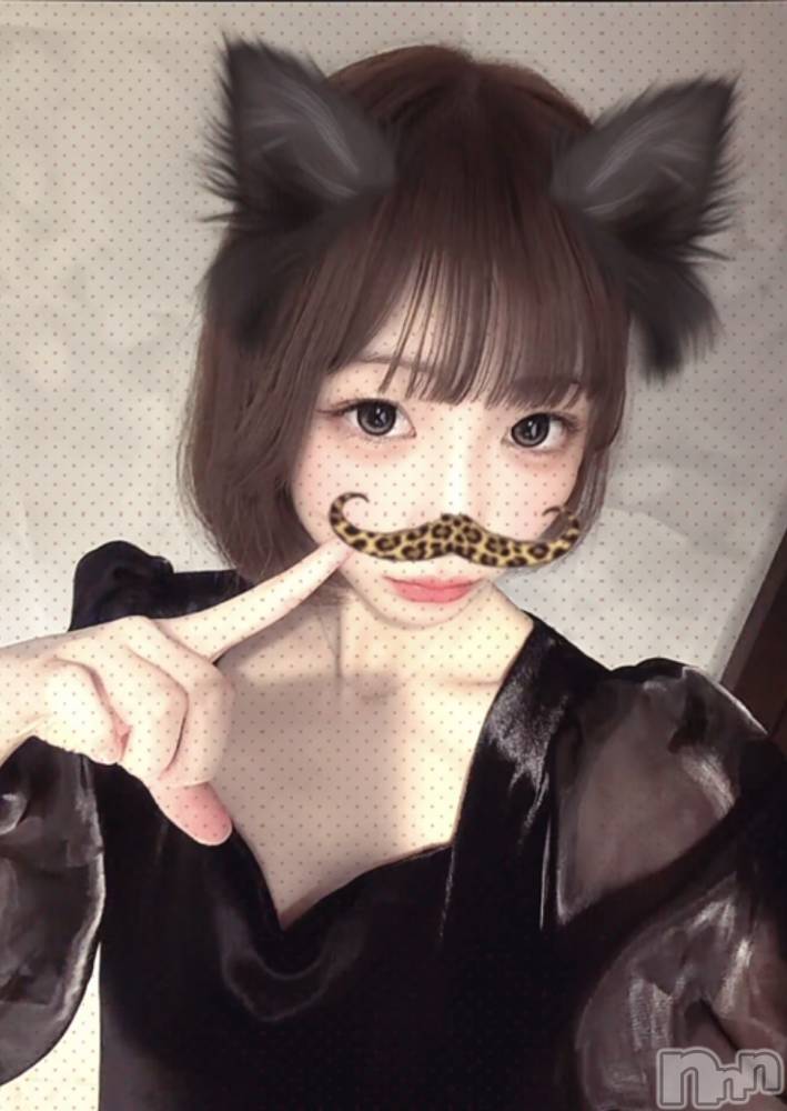 �����������Х��顦�����Blanc (�֥��) ��������9��11���̥�֥�����🐈‍⬛🩶��