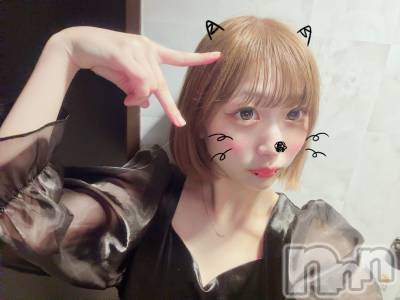 �����������Х��顦�����Blanc (�֥��) ��������9��7���̥�֥�����🐱🖤 ̖́-��