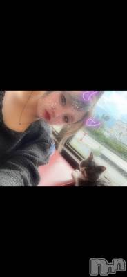 ��Ʋ���ʥå��������륺�С�Sugar Rabbits(���奬����ӥå�) ������(23)��9��5���̥�֥����֤��äѤ�����🍻��������̴︎︎︎︎ꕀ 💭��