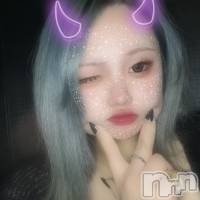 ��Ʋ���ʥå��������륺�С� Sugar Rabbits(���奬����ӥå�) �������β���(5����)