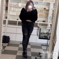 ��Ʋ���ʥå��������륺�С� Sugar Rabbits(���奬����ӥå�) �������β���(2����)