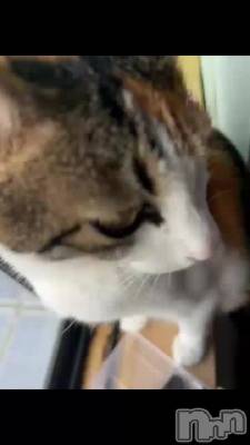 😻