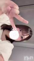 �񤤤�KITE����