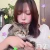 すみの最新ブログ「すみネコ」