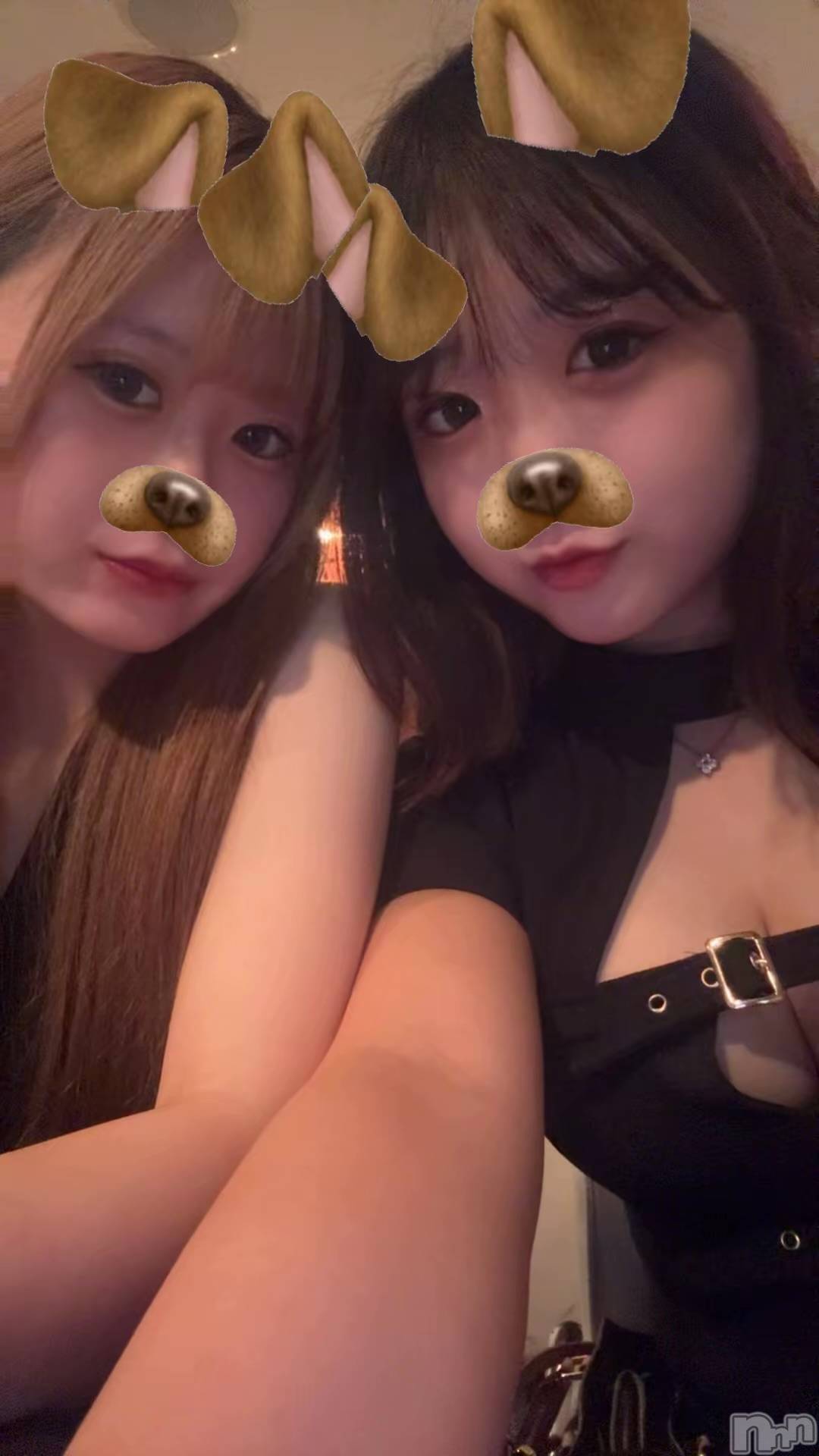 ��Ʋ����Х��顦�����LINOA LOUNGE(��Υ��饦��) ��2026ǯ8��26���̥�֥�����8��26�� 20��09ʬ�Υ֥�����