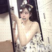 なこ さんのプロフィール画像