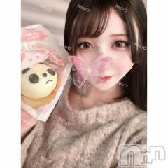 上越デリヘルBLUE BIRD上越店(ブルーバード上越店) りつ(20)の7月11日写メブログ「はじめまして🐱💘」