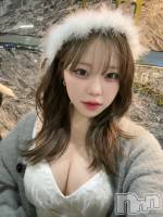 ���� �����������Х��顦����� CABAR LEPUS(����С���ץ�)���ҡ�