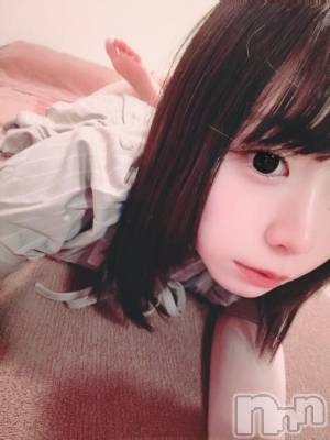 🐹〇活始めました。🐹