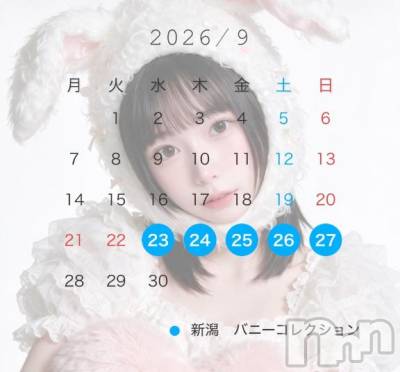 新潟ソープ 新潟バニーコレクション(ニイガタバニーコレクション) ハム(23)の8月21日写メブログ「🐹9月の出勤について🐹」