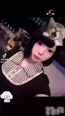 ���ʽжФ���3��������ޤ���(๑˃̵ᴗ˂̵)و 