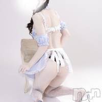 ジュリーしおり