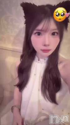 ����������(T��T)
