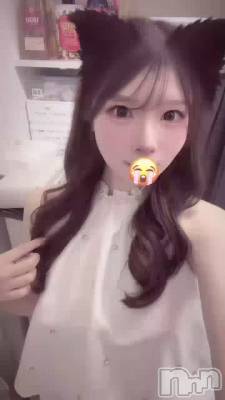 �ڶ���衼✨