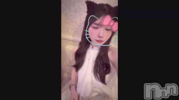 �ּ���������(T��T)��