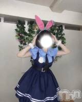 どれが好き？