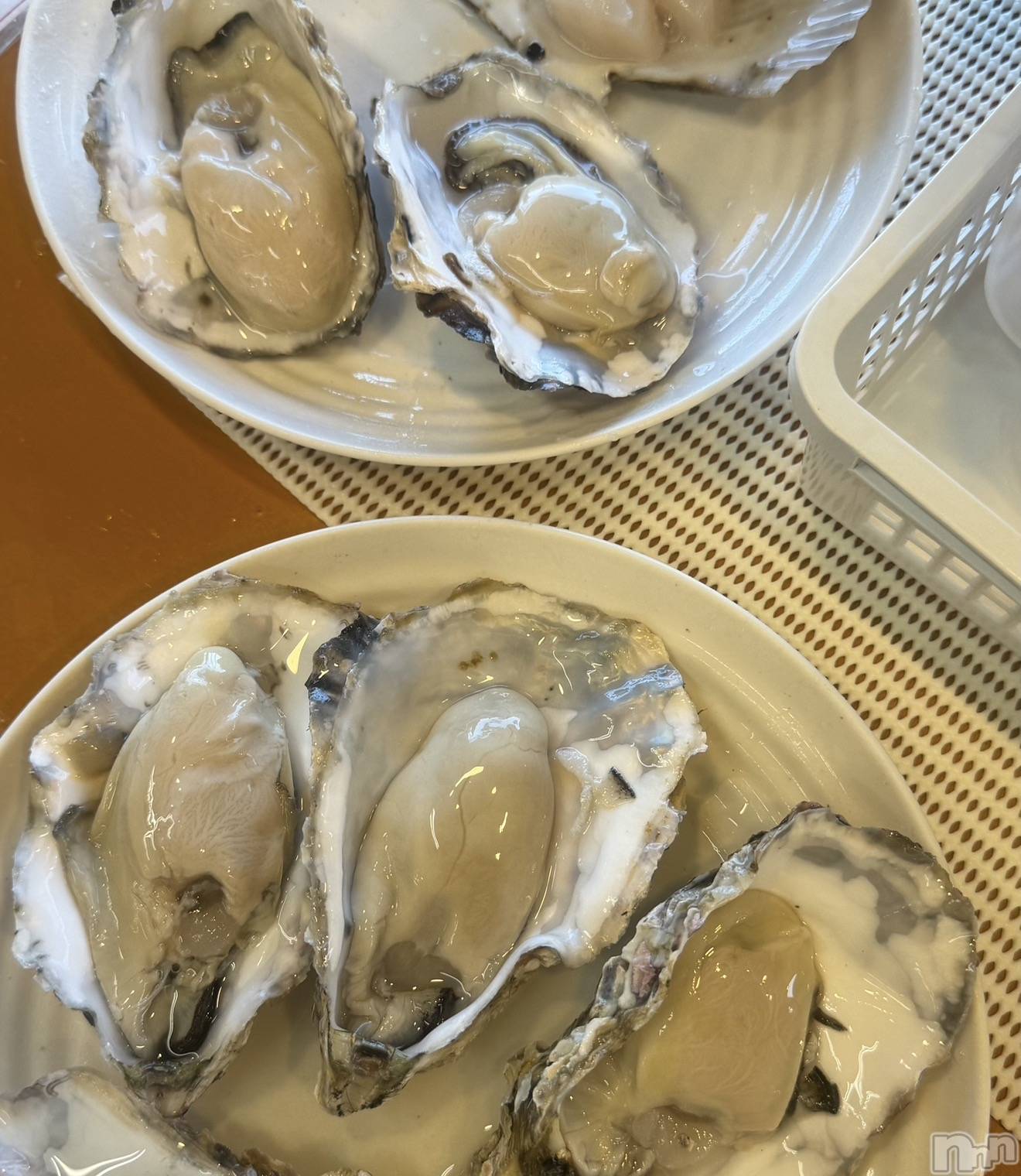 ��Į���ʥå��������륺�С����ʥå�����ܤ�̡�Ĺ��������2��Ź(���ʥå�����ܥ���ޡ��ʥ����������ޥ����˥����ƥ�) ��2026ǯ9��5���̥�֥����ֲ���‼️��