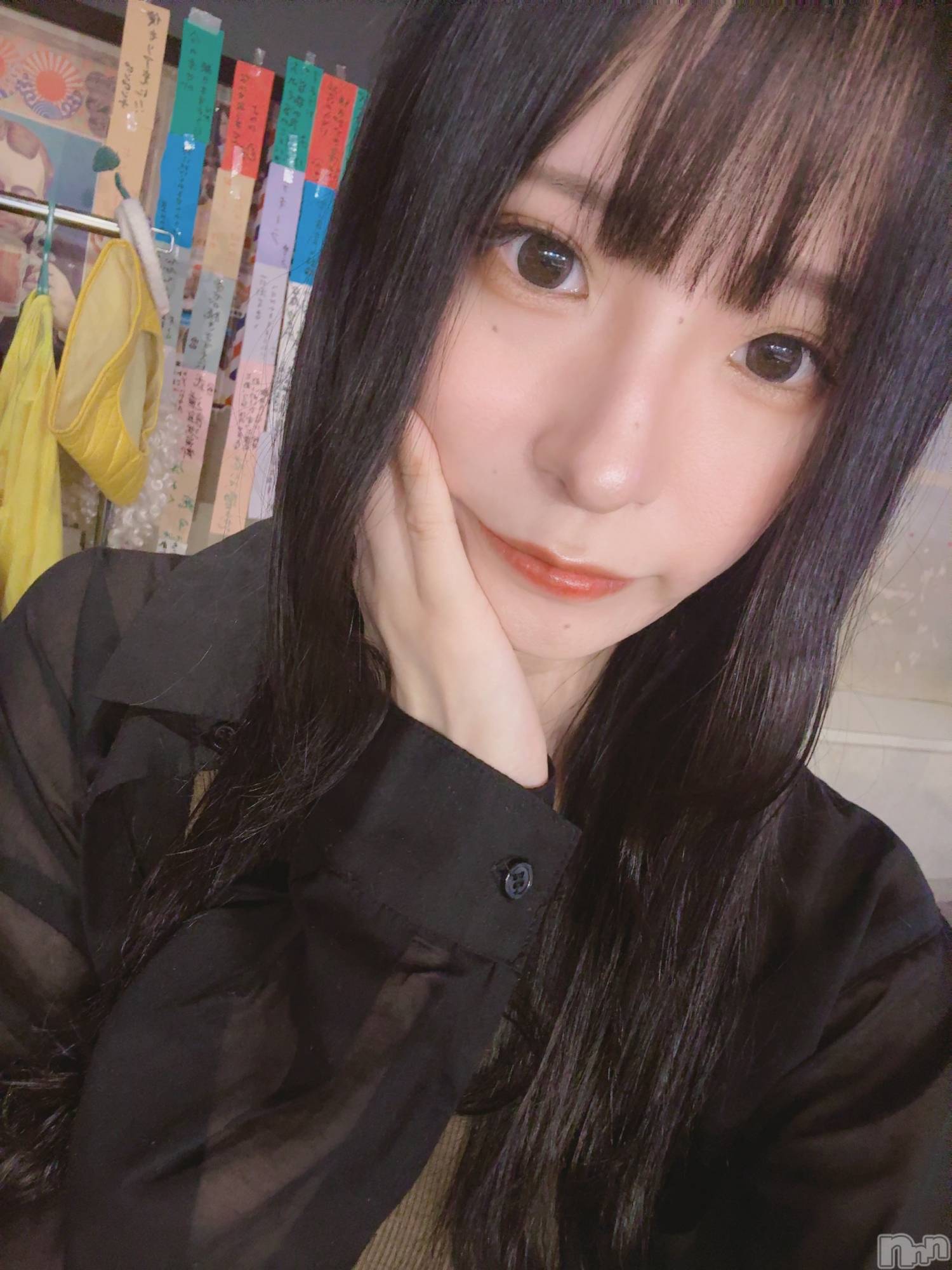 ����������ʥå��������륺�С����ʥå�����ܤ�̡����������3��Ź(���ʥå�����ܥ���� �˥����������ޥ� ���󥴥��ƥ�) ��2026ǯ9��2���̥�֥�����9����������á���