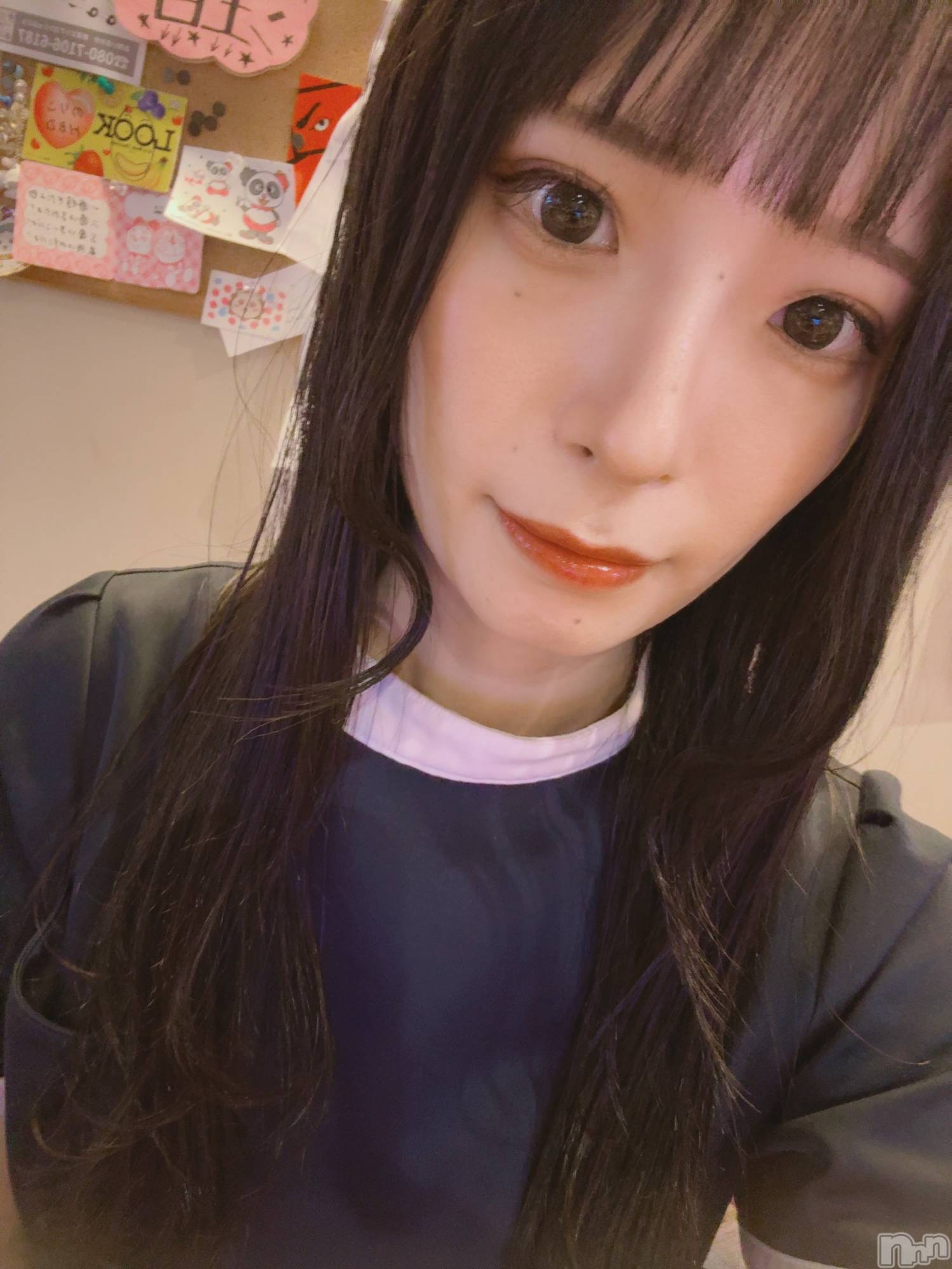����������ʥå��������륺�С����ʥå�����ܤ�̡����������3��Ź(���ʥå�����ܥ���� �˥����������ޥ� ���󥴥��ƥ�) ��2026ǯ9��6���̥�֥�����🍀������