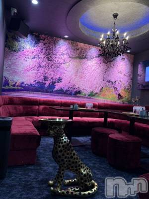 ��Į����Х��顦����� LOUNGE Cerisier(�饦�� ���ꥸ��)��Ź�ޥ��᡼������