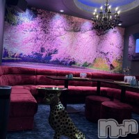 LOUNGE Cerisier フォトギャラリー画像1