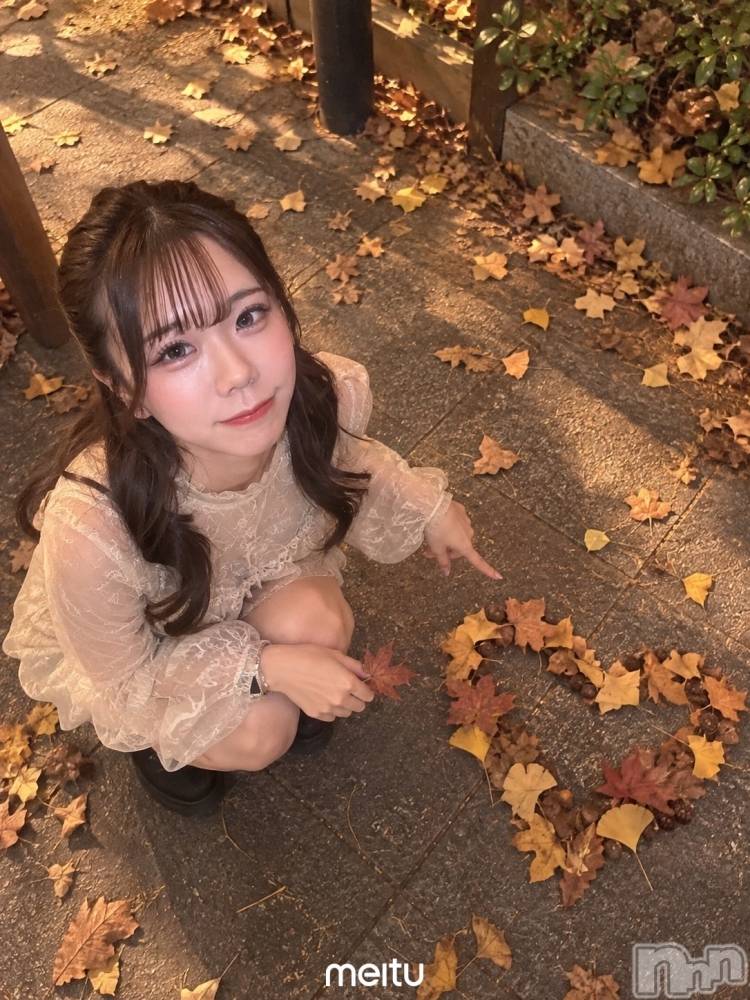 ���ܱ�������Х��顦���������(�����) �ߤ��10��16���̥�֥����ֽ�🍂��
