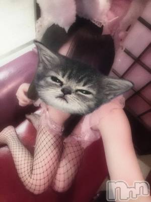 ������������㤭���MANJI��(�ޥ�) ����쥤(20)��10��3���̥�֥����֤Ҥ��Ҥ�❕��