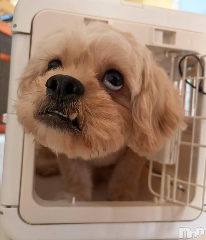 ��Ʋ����Х��顦�����CLUB��S(����֥���) �Ҥ�����10��16���̥�֥�����🐕 ͗ ͗��