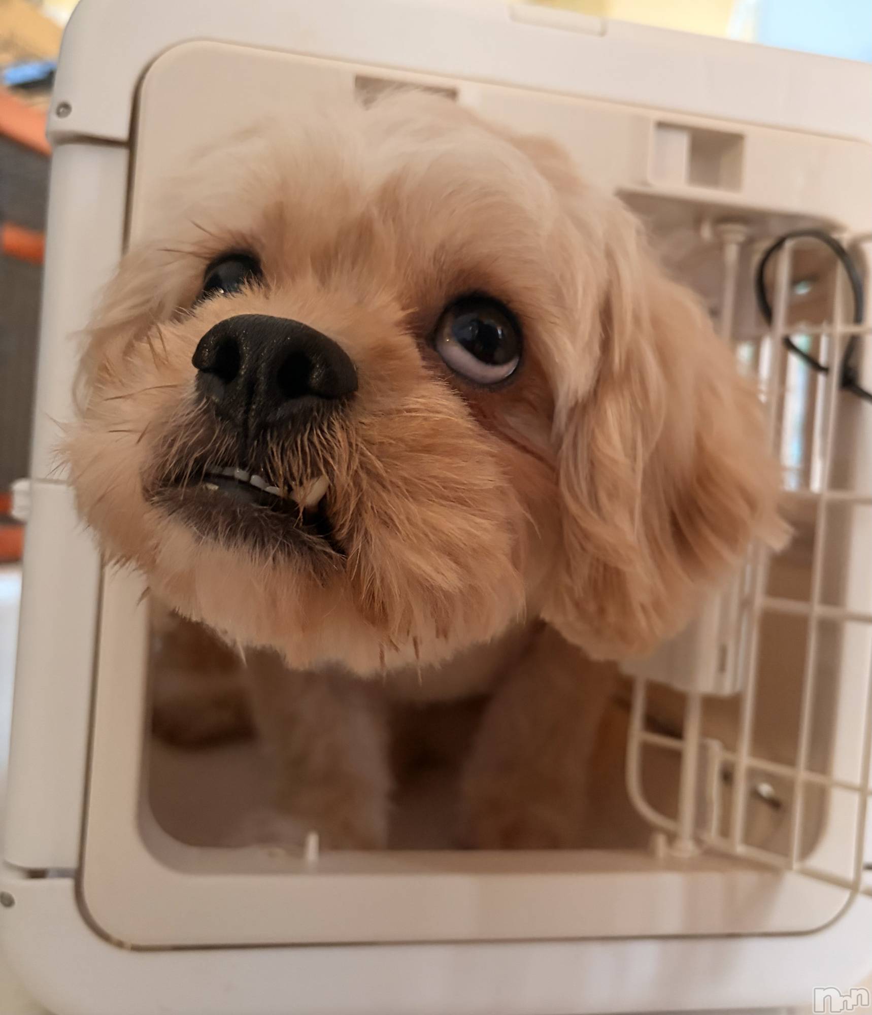 ��Ʋ����Х��顦�����CLUB��S(����֥���) ��2026ǯ10��16���̥�֥�����🐕 ͗ ͗��