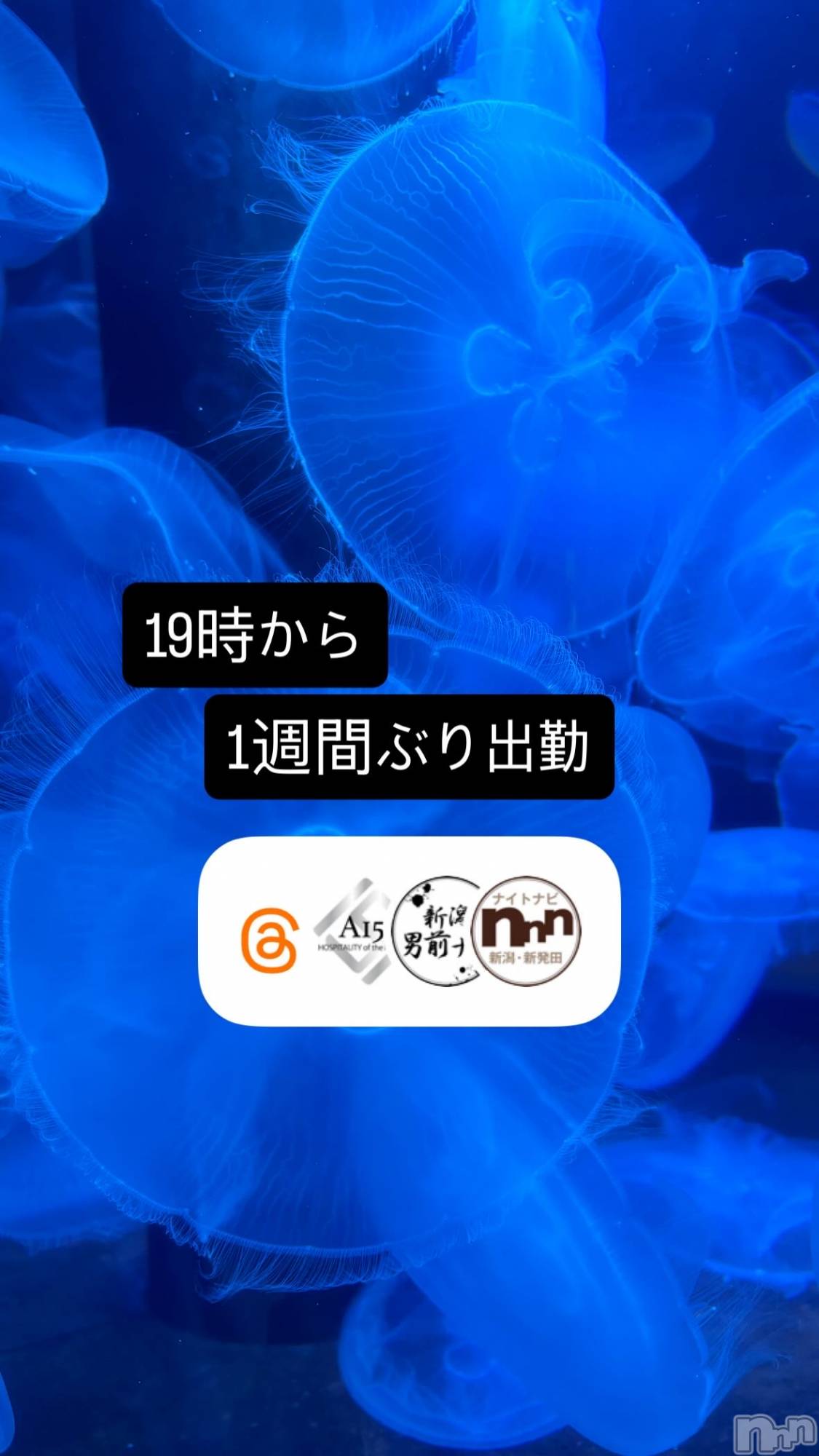��Į�ۥ��ȡ��ܡ������С�A151(�����������ݥ���) ��2026ǯ8��21���̥�֥����ֵס��жС�